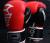 GUANTE DE BOX PRETORIAN
