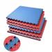 TATAMI DE GOMA EVA 1M X 1M , 2.5cm RESISTENTE Y FÁCIL DE LIMPIAR
